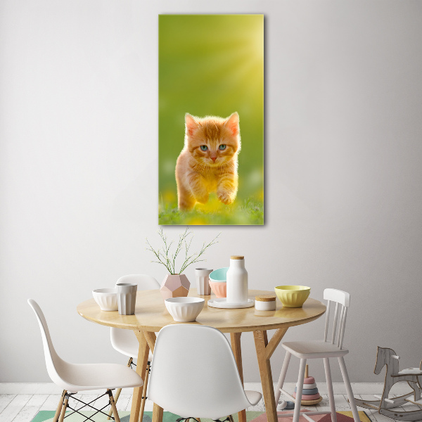 Foto auf glas vertikales Ingwerkatze