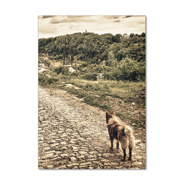 Glasbild vertikales Zwei Hunde vom Hügel