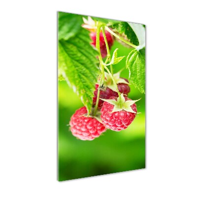 Bild aus glas vertikales Himbeeren am Strauch