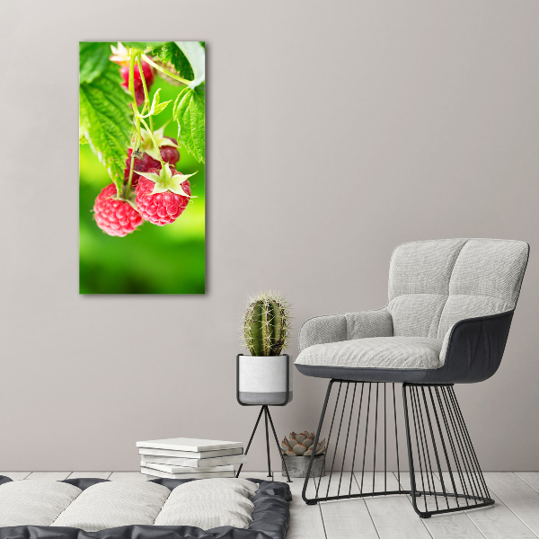 Bild aus glas vertikales Himbeeren am Strauch