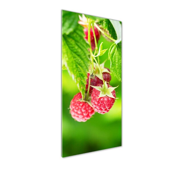 Bild aus glas vertikales Himbeeren am Strauch
