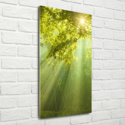Glasbild vertikales Die Sonne im Wald
