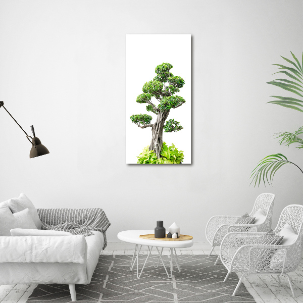 Foto auf glas vertikales Bonsai-Baum