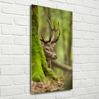 Glasbild vertikales Reh