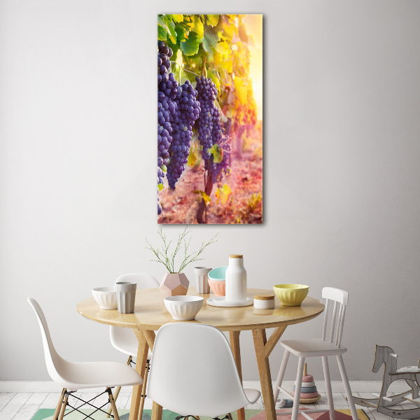 Foto auf glas vertikales Weinberg