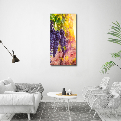 Foto auf glas vertikales Weinberg