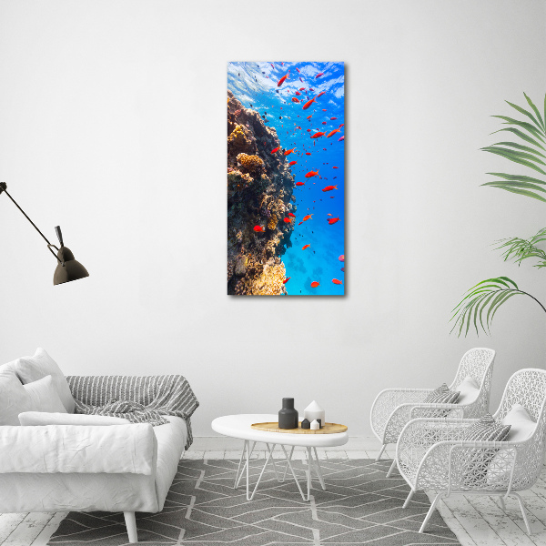 Bild aus glas vertikales Korallenriff