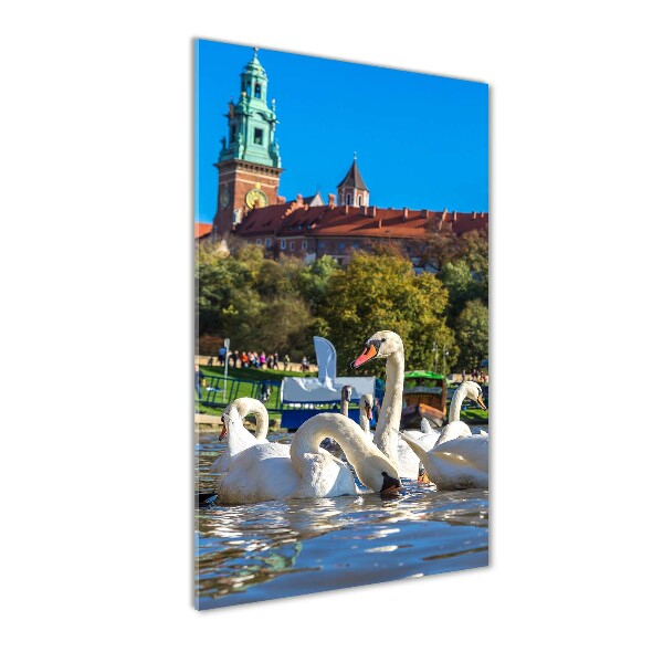 Glasbild vertikales Krakau, Polen