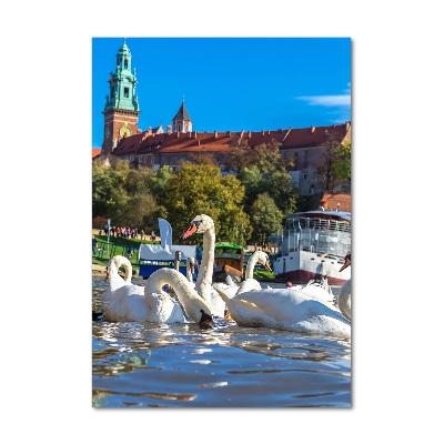 Glasbild vertikales Krakau, Polen