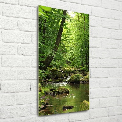 Glasbild vertikales Fluss im Wald