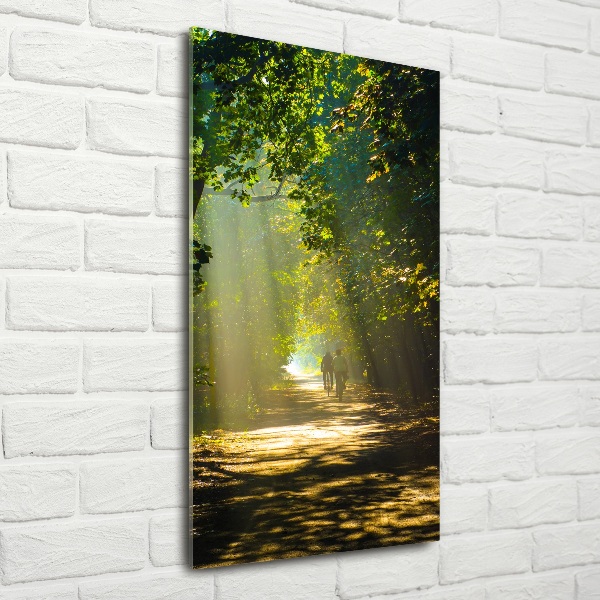 Foto auf glas vertikales Pfad im Wald