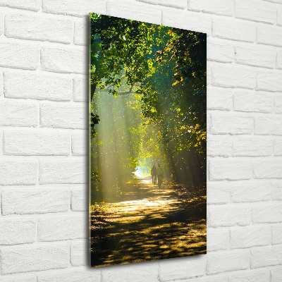 Foto auf glas vertikales Pfad im Wald