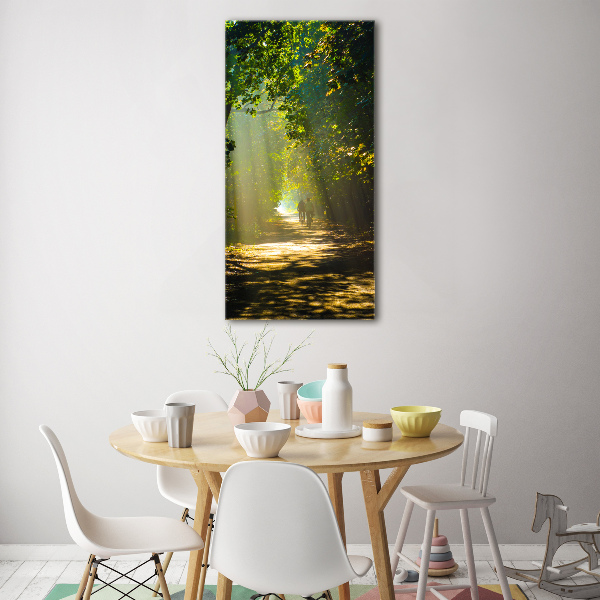 Foto auf glas vertikales Pfad im Wald