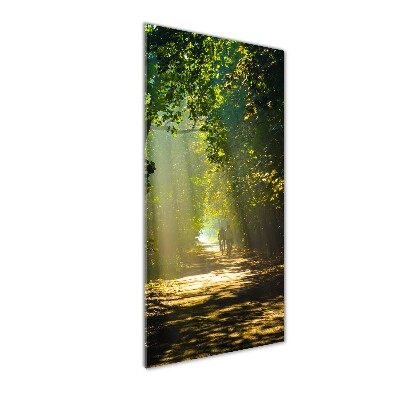 Foto auf glas vertikales Pfad im Wald