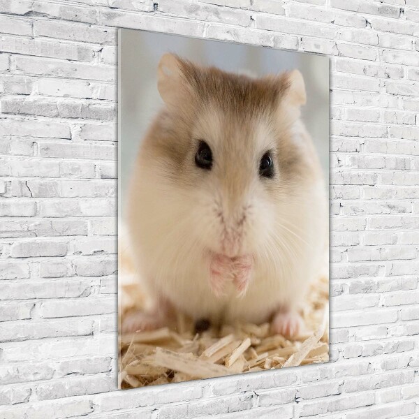 Glasbild vertikales Hamster