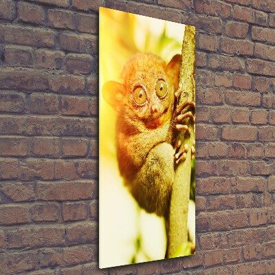 Bild aus glas vertikales Geisterkoboldmaki