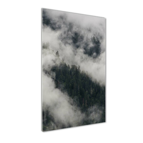Glasbild vertikales Eine Wolke über dem Wald