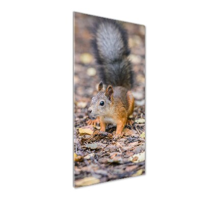 Glasbild vertikales Eichhörnchen im Wald