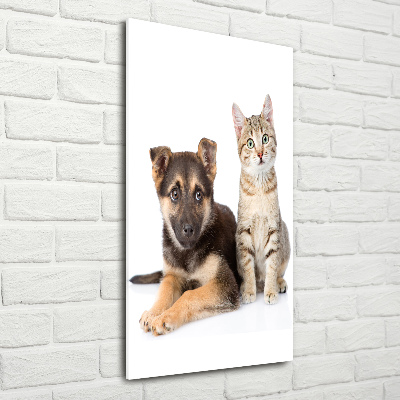 Foto auf glas vertikales Hund und Katze