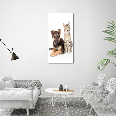 Foto auf glas vertikales Hund und Katze