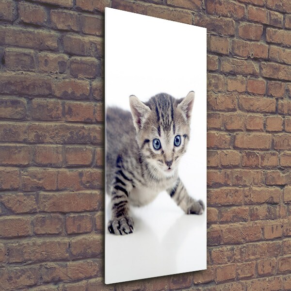 Glasbild vertikales Kleine Katze