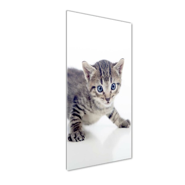 Glasbild vertikales Kleine Katze