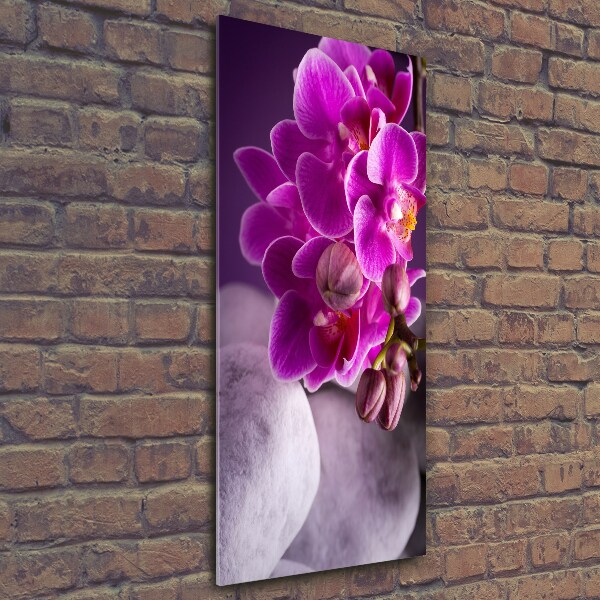Foto auf glas vertikales Rosa Orchidee