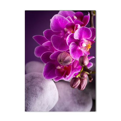 Foto auf glas vertikales Rosa Orchidee