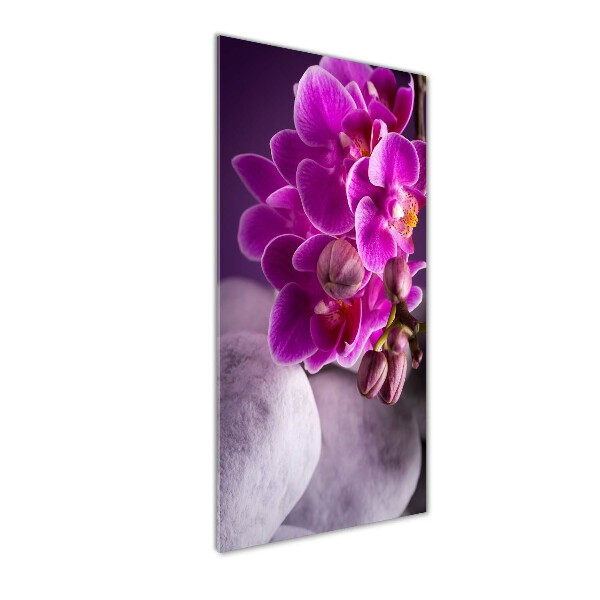 Foto auf glas vertikales Rosa Orchidee