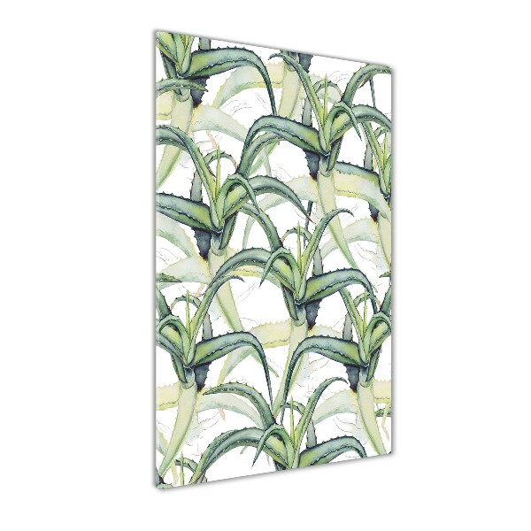 Foto auf glas vertikales Aloe