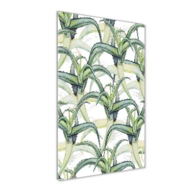 Foto auf glas vertikales Aloe