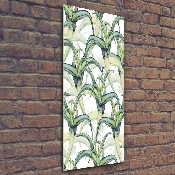 Foto auf glas vertikales Aloe