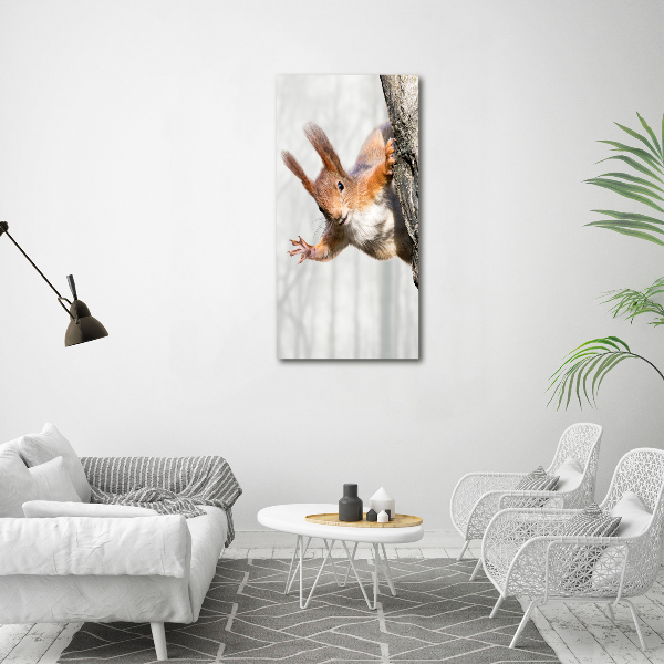 Foto auf glas vertikales Eichhörnchen auf einem Baum