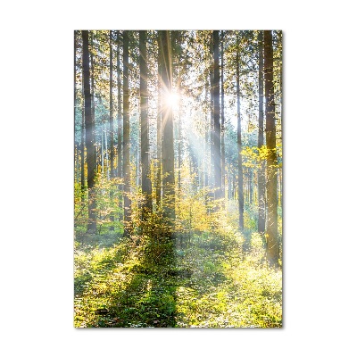 Glasbild vertikales Die Sonne im Wald