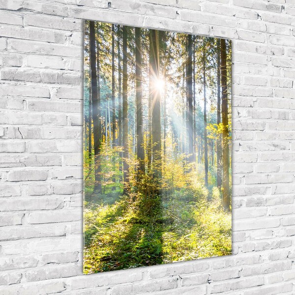 Glasbild vertikales Die Sonne im Wald