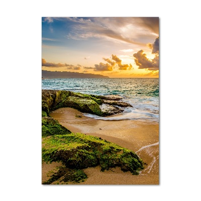 Foto auf glas vertikales Sonnenuntergang am Meer