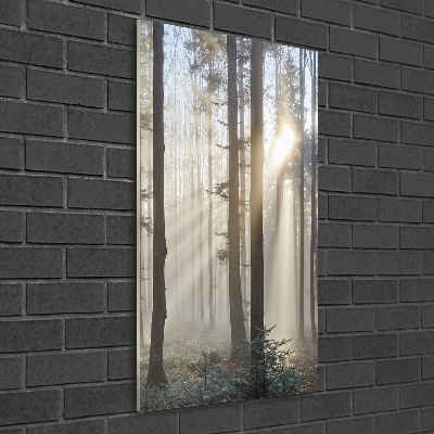 Bild aus glas vertikales Nebel im Wald