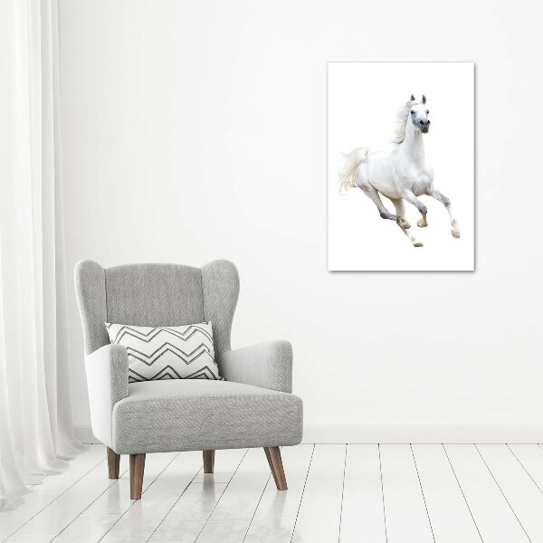 Foto auf glas vertikales Ein weißes Pferd im Galopp