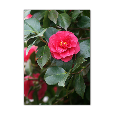 Bild aus glas vertikales Kamelie