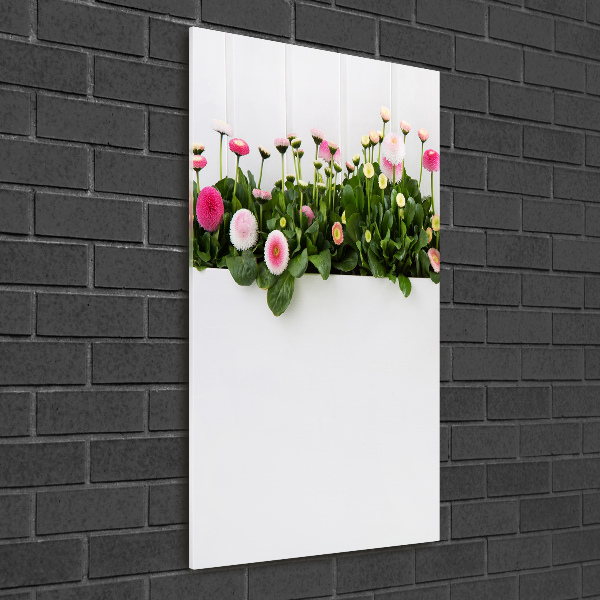 Glasbild vertikales Rosa Gänseblümchen