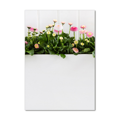 Glasbild vertikales Rosa Gänseblümchen