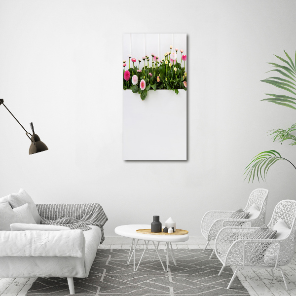 Glasbild vertikales Rosa Gänseblümchen