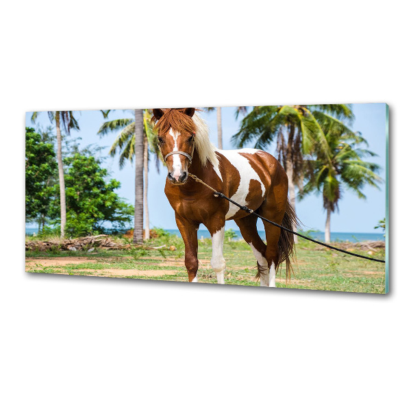 Küchen wandpaneel Geflecktes Pferd