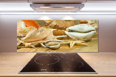 Glasrückwand für die küche Muscheln auf Holz