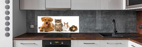 Platte für Küchenrückwand Hund und Katze