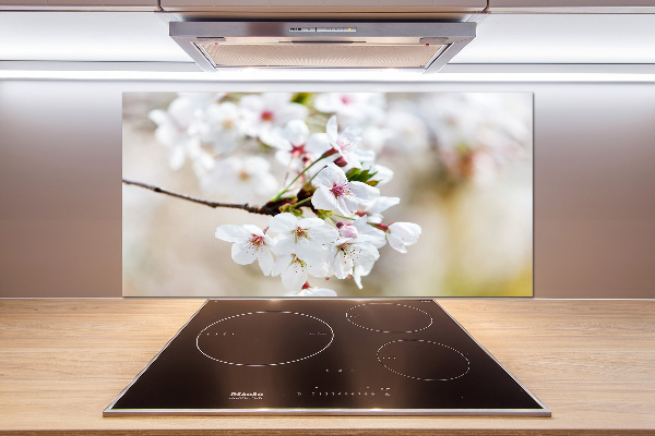 Küchen wandpaneel Kirschblüten