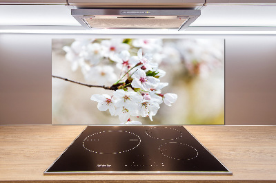 Küchen wandpaneel Kirschblüten