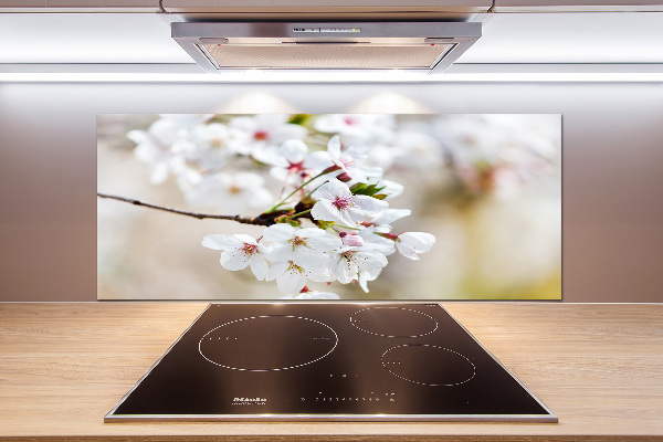 Küchen wandpaneel Kirschblüten