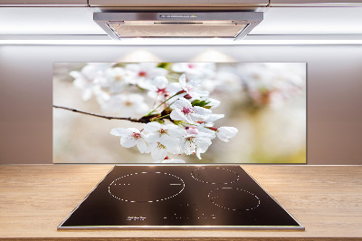 Küchen wandpaneel Kirschblüten