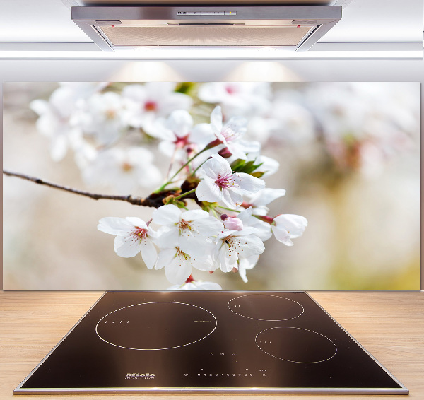 Küchen wandpaneel Kirschblüten